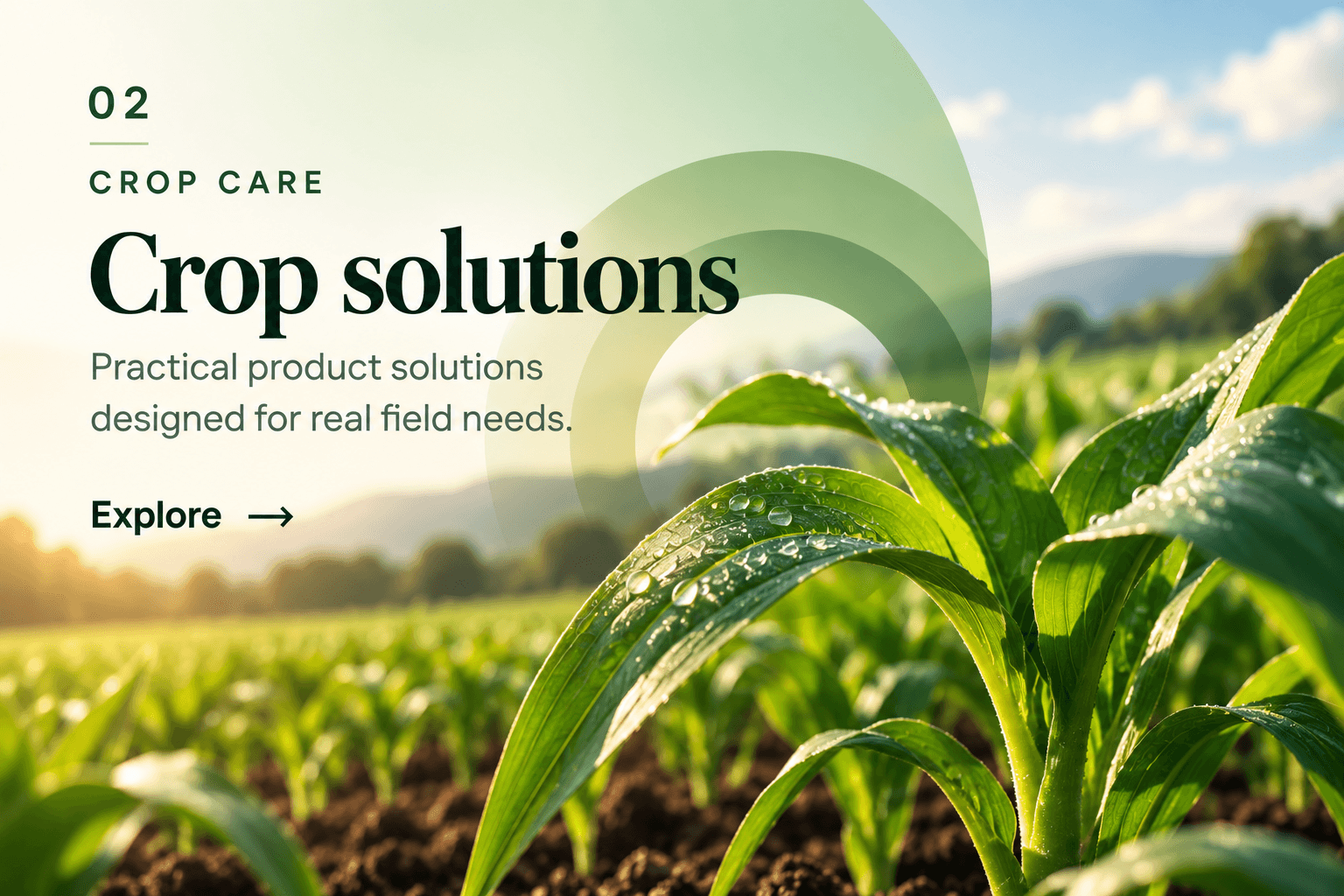 Healthy agricultural crop